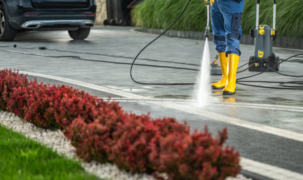 Reliable Monte Vista, CO Pressure Washing Services Solutions